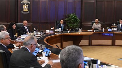 إعادة تخصيص قطع أراضي لإنشاء مخازن بالمنطقة الصناعية في السويس