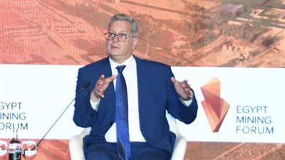 مصر تستعد لإجراء مسح جوي للبحث عن المعادن لأول مرة منذ الثمانينات