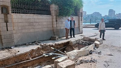 «الكهرباء» تضيف مصدر تغذية ثالث إلى محطة محولات جزيرة الدهب