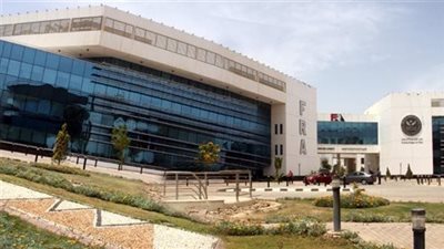 هيئة الرقابة المالية تحدد معايير الملاءة المالية لشركات التأمين