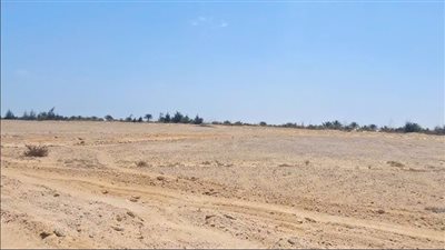 تخصيص 18.5 ألف فدان لتنفيذ مشروعات تنموية بمحافظة البحيرة