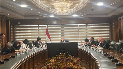 مباحثات مصرية - كورية لتعزيز الشراكة بمجال تطوير وتشغيل المطارات