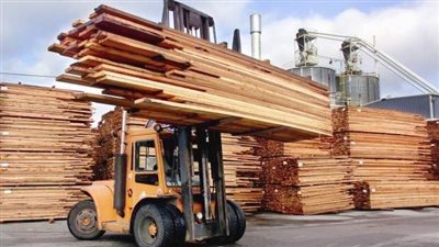 زيادة رأس مال الشركة التجارية للأخشاب إلى 500 مليون جنيه