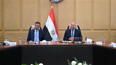 الحكومة تخطط لإنشاء مناطق صناعية متخصصة فى الزبيب والكتان