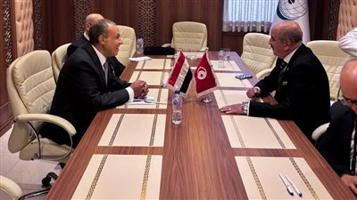  مصر وتونس تبحثان التطورات الإقليمية فى غزة وليبيا والسودان
