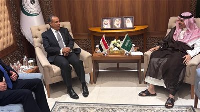 مصر والسعودية تؤكدان الرفض الكامل للتجويع وقتل المدنيين فى غزة 