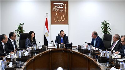 رئيس الوزراء يبحث آليات تنفيذ قانون تنظيم ملكية الدولة في الشركات