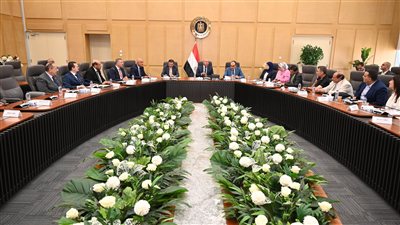 شركة صينية تبدأ إنشاء مصنع للكتان في السادات خلال سبتمبر المقبل