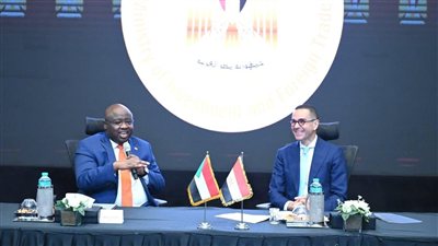  مصر والسودان تبحثان التعاون المشترك فى مجالات الذهب والثروات المعدنية