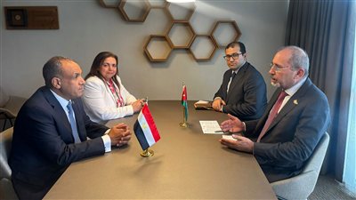وزيرا خارجية مصر والأردن يؤكدان رفض العدوان الاسرائيلي والتهجير في غزة