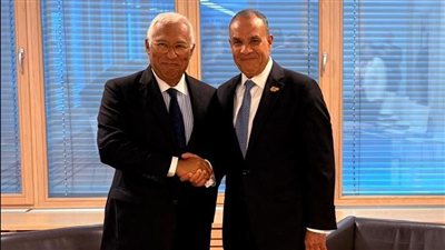 وزير الخارجية يشدد على ضرورة التدخل الدولى لوقف إطلاق النار فى غزة