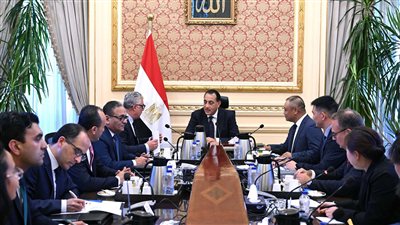 «إيليت سولار» الصينية تبدأ صناعة الخلايا الشمسية في مصر بنهاية 2025