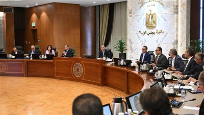 الحكومة تعلن صرف 19.3 مليار جنيه مستحقات دعم الصادرات خلال عامين