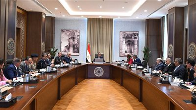 مصر تخطط لزيادة حجم أسطول الطيران 30%