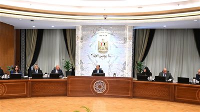 الحكومة تبحث سبل توفير الطاقة للقطاعات الإنتاجية والتنموية