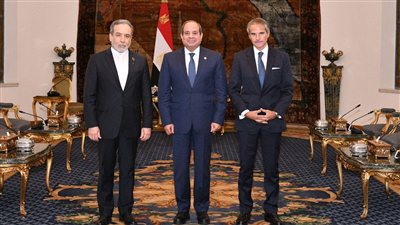 برعاية مصرية.. إيران توافق على استئناف التعاون مع الوكالة الدولية للطاقة الذرية 