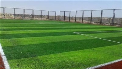 «الرياضة» توافق على إشهار نادى ومركز شباب بالجيزة والفيوم