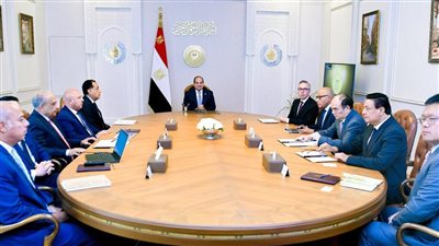 الرئيس السيسى يبحث تعزيز التعاون مع «سكاتك» و«صنجرو» بمجال الطاقة المتجددة