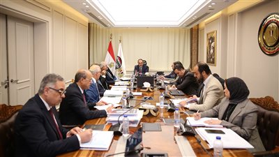 وزير قطاع الأعمال: تطبيق برامج التحول الرقمي لتحسين أداء وموارد الشركات التابعة