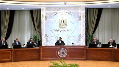 مدبولي يتابع جهود توطين صناعة الدواء في مصر