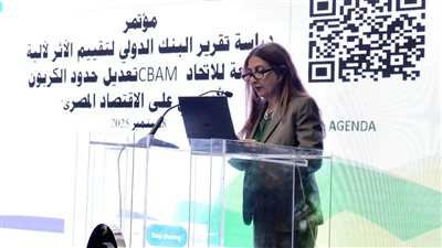 مصر تستعرض آثار آلية تعديل حدود الكربون الأوروبية على صادرات الحديد والصلب