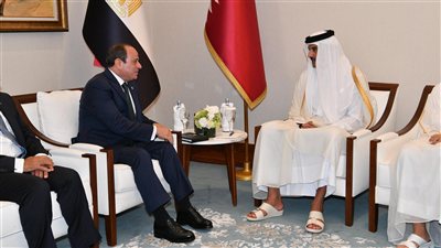 السيسي وتميم يؤكدان ضرروة تشكيل جبهة موحدة لحماية الأمن القومي العربي