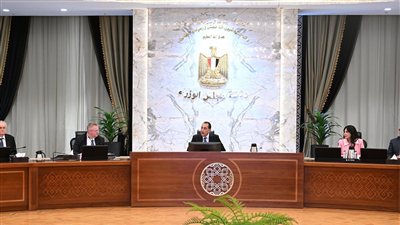 مصر وروسيا تبحثان آليات التعاون المشترك في 7 قطاعات