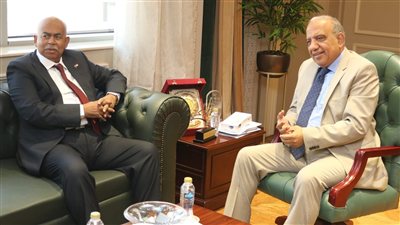 مصر والسودان تبحثان تنفيذ المرحلة الثانية من خط الربط الكهربائي المزدوج