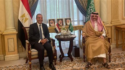 وزير الخارجية يبحث مع نظيره السعودي تعزيز التعاون الأمنى و الاقتصادى بين البلدين 