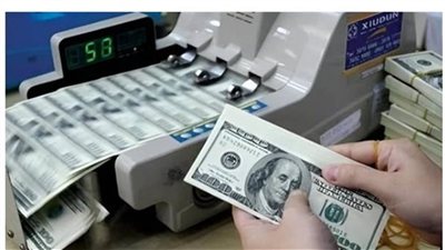 ضبط قضايا إتجار بالنقد الأجنبي بقيمة 13 مليون جنيه خلال 24 ساعة