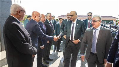 مصر تدعو سنغافورة لإقامة منطقة صناعية متخصصة باقتصادية قناة السويس