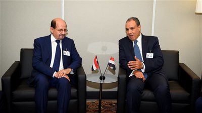 وزير الخارجية يؤكد دعم مصر الثابت لوحدة واستقرار اليمن
