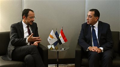 رئيس الوزراء يبحث سبل التعاون المشترك مع الرئيس القبرصي