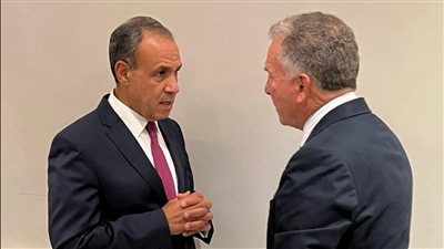 وزير الخارجية يبحث مع المبعوث الأمريكي تطورات الأوضاع في غزة 