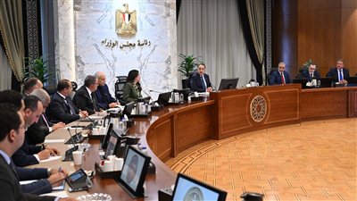 الحكومة تعلن بدء الإجراءات التنفيذية لتسجيل وتصدير العقار