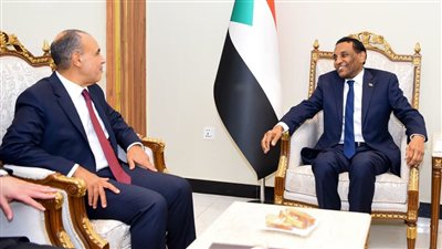 وزير الخارجية يؤكد دعم مصر لوحدة وسلامة أراضي ومؤسسات السودان