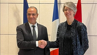 وزير الخارجية يبحث سبل زيادة الاستثمارات الفرنسية في مصر
