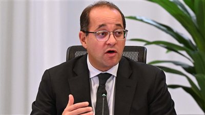وزير المالية: شركات الجهات السيادية سددت ضرائب 16.4 مليار جنيه خلال 2024