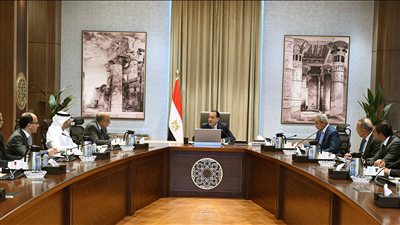 رئيس الوزراء يتابع مستجدات تنفيذ الاستراتيجية الوطنية للطاقة المتجددة والمستدامة 