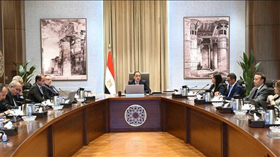رئيس الوزراء يؤكد التزام مصر ببرنامج الإصلاح الاقتصادي الوطني