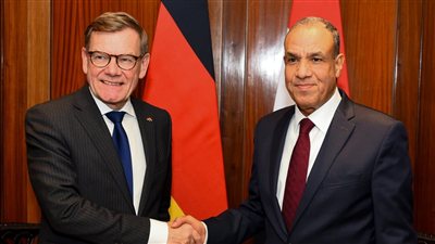 وزير الخارجية يبحث جذب الاستثمارات الألمانية لتوطين صناعة السيارات