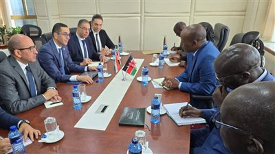 وزير الاستثمار يبحث سبل تعزيز التعاون المشترك مع كينيا