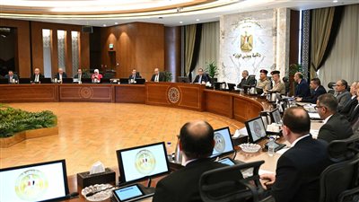 رئيس الوزراء يُتابع مشروعات تطوير البُنى التحتية وأنظمة التأمين بالمطارات المصرية