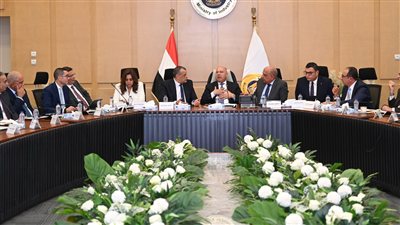 شركات السيراميك والبورسلين تطالب بجدولة ديونها لدى وزارتي «البترول» و«الكهرباء»