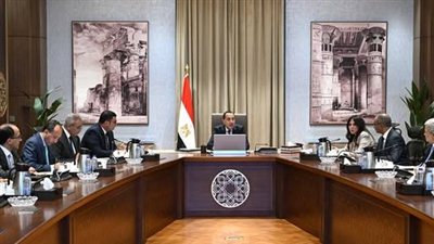 مدبولي يتابع موقف تنفيذ وتشغيل محطات تحلية المياه في شمال سيناء