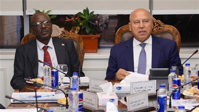 مصر والسودان تنفذان خطة لرفع كفاءة 18 وحدة نهرية بوادي النيل 