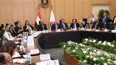 الحكومة تقرر مد صلاحية تسجيل منتجات إضافات الأعلاف إلى 5 سنوات