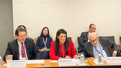 «المشاط»: ضرورة توجه منظومة التمويل العالمية لدعم إستثمارات القطاع الخاص