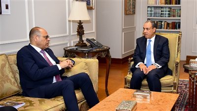 مصر تبحث إنشاء قاعدة بيانات وطنية موحدة للعمالة المصرية بالخارج