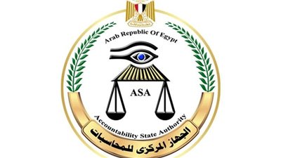 مصر تستعد لتسلم رئاسة المنظمة الدولية للرقابة المالية والمحاسبة «الإنتوساي»